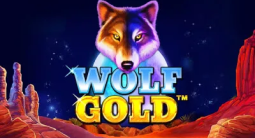 wolf-gold-img